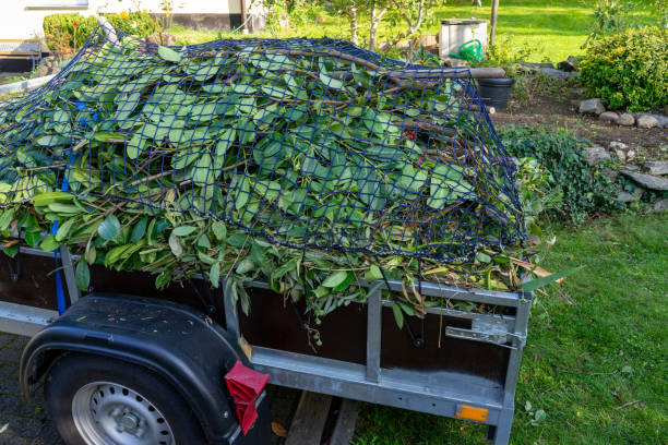 Best Recycling Services for Junk  in Lexington, MN
